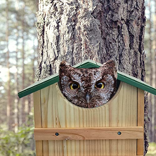 Handmade Cedar Screech Owl House with Mounting Screws