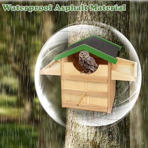 Wooden Screech Owl House with Bird Stand 9