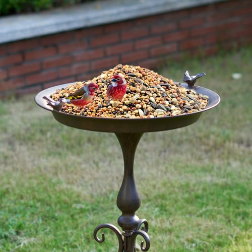 Metal Bird Bath with Stand for Outdoor Decor