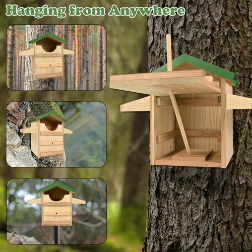 Wooden Screech Owl House with Bird Stand 9