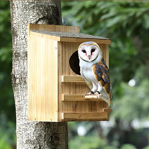 Wooden Owl Nesting Box with Stand for Easy Setup