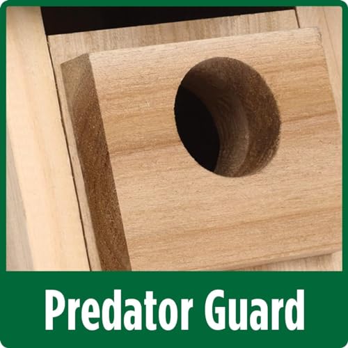 Cedar Bluebird House - 12" with Ventilation & Mounts