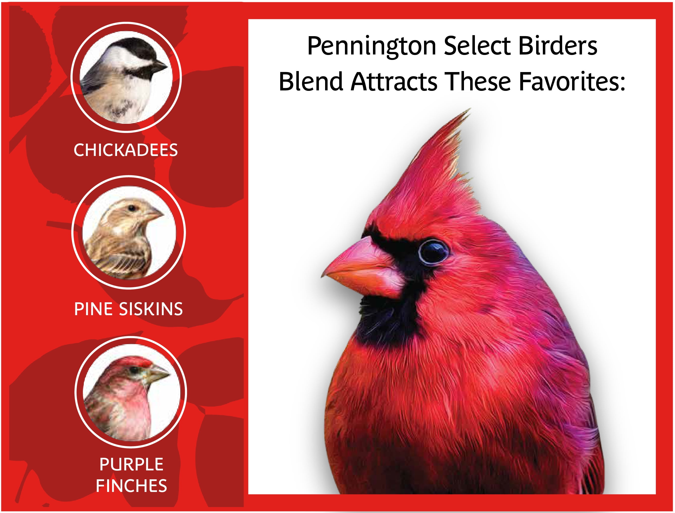 Pennington Select Wild Bird Seed Blend, 40 lb
