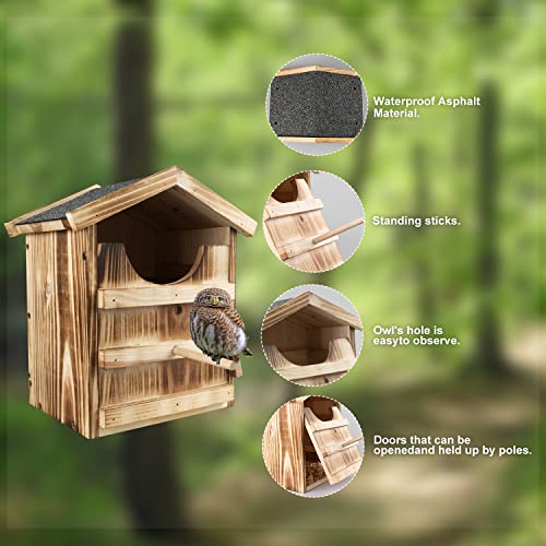 Large Handmade Owl Nesting Box with Accessories