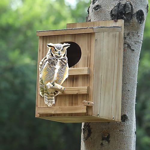 Wooden Owl Nesting Box with Stand for Easy Setup