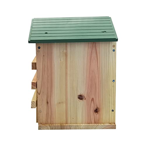 Handmade Cedar Screech Owl House with Mounting Screws
