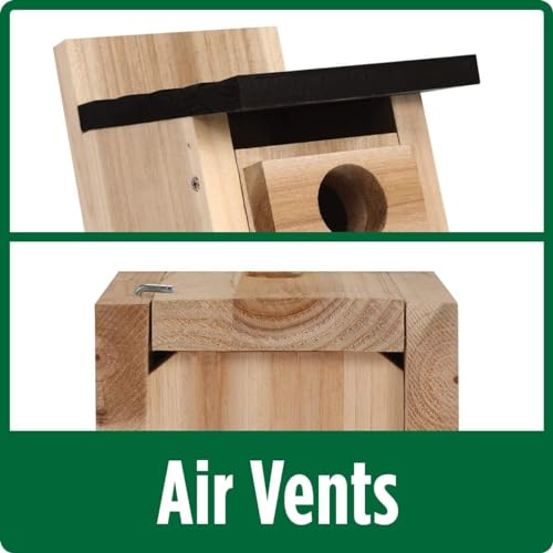 Cedar Bluebird House - 12" with Ventilation & Mounts