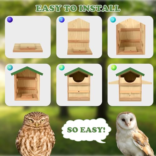 Wooden Screech Owl House with Bird Stand 9