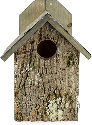 Uncle Dunkel’s Rustic Screech Owl Nesting Box