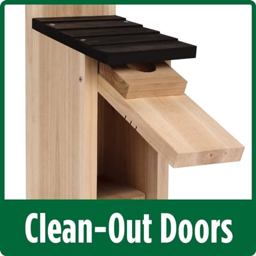 Cedar Bluebird House - 12" with Ventilation & Mounts