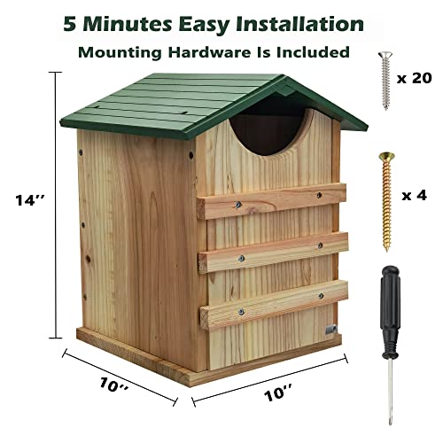 Handmade Cedar Screech Owl House with Mounting Screws
