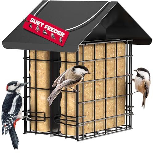 Double Capacity Suet Bird Feeder with Metal Roof