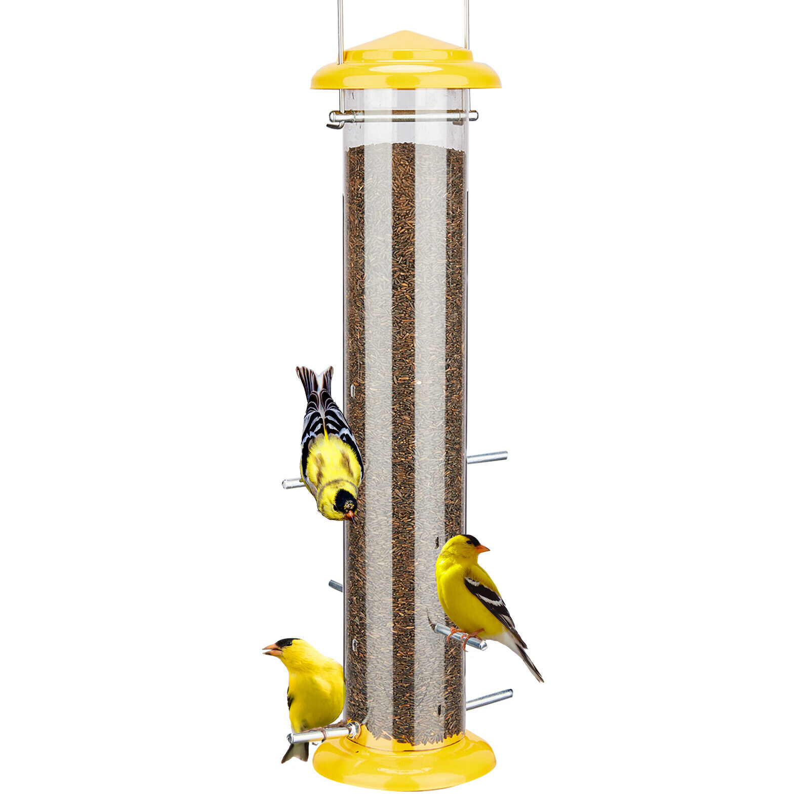 Squirrel-Proof Metal Finch Feeder for Wild Birds