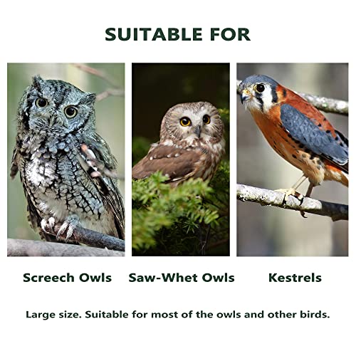 Handmade Cedar Screech Owl House with Mounting Screws