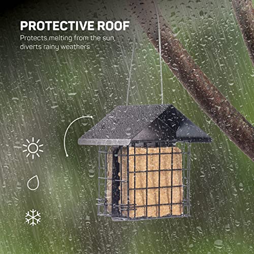 Double Capacity Suet Bird Feeder with Metal Roof