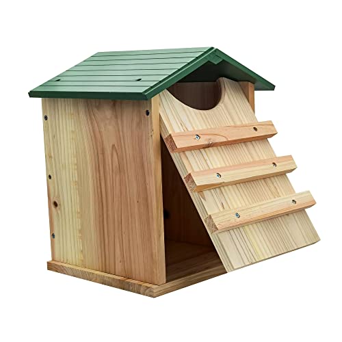 Handmade Cedar Screech Owl House with Mounting Screws
