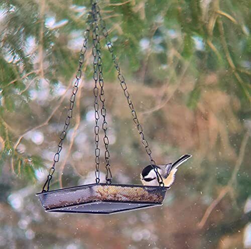 Metal Mesh Hanging Bird Feeder Tray