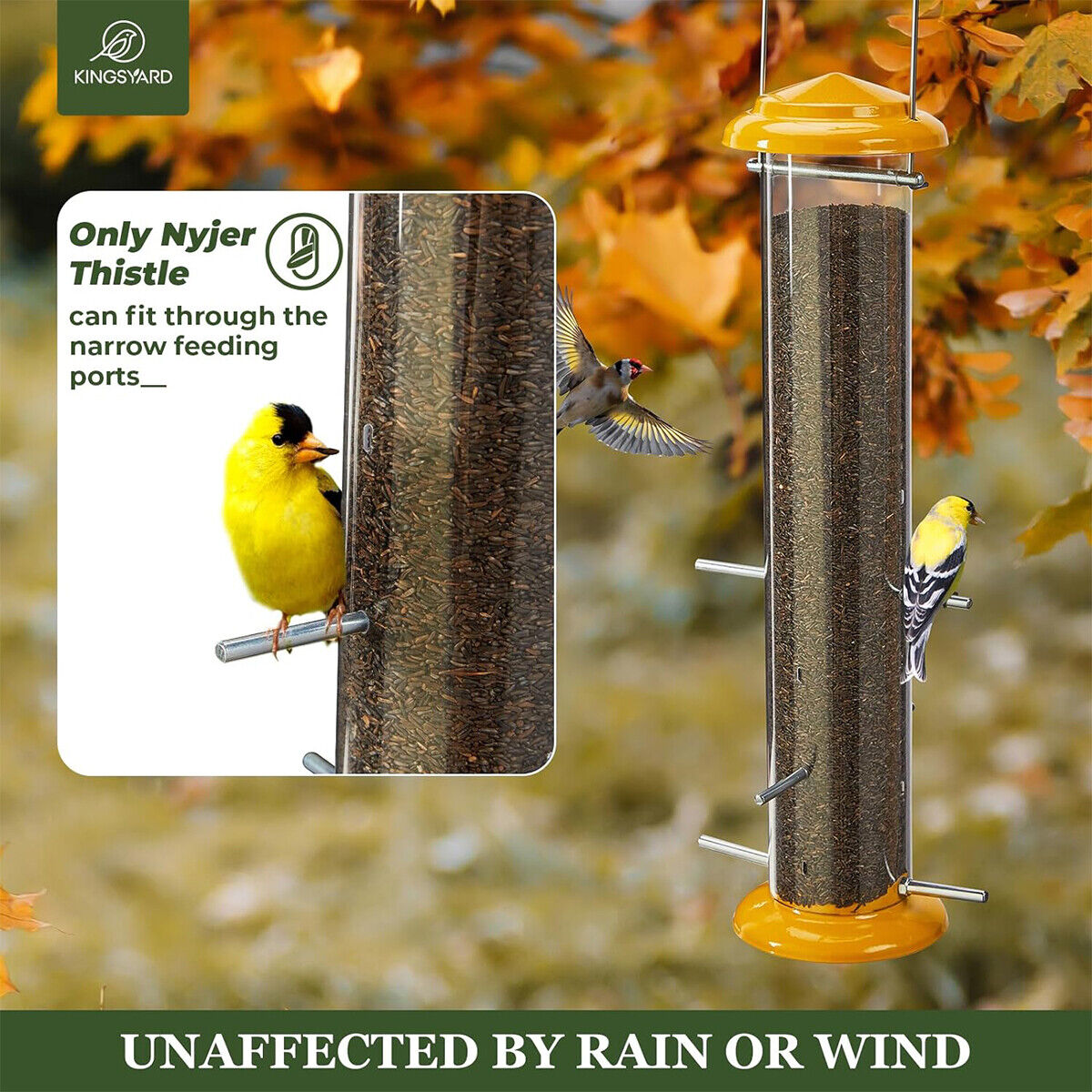Squirrel-Proof Metal Finch Feeder for Wild Birds
