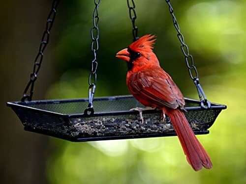 Metal Mesh Hanging Bird Feeder Tray