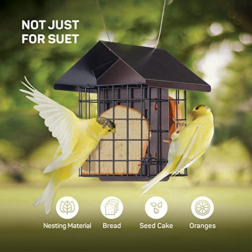Double Capacity Suet Bird Feeder with Metal Roof