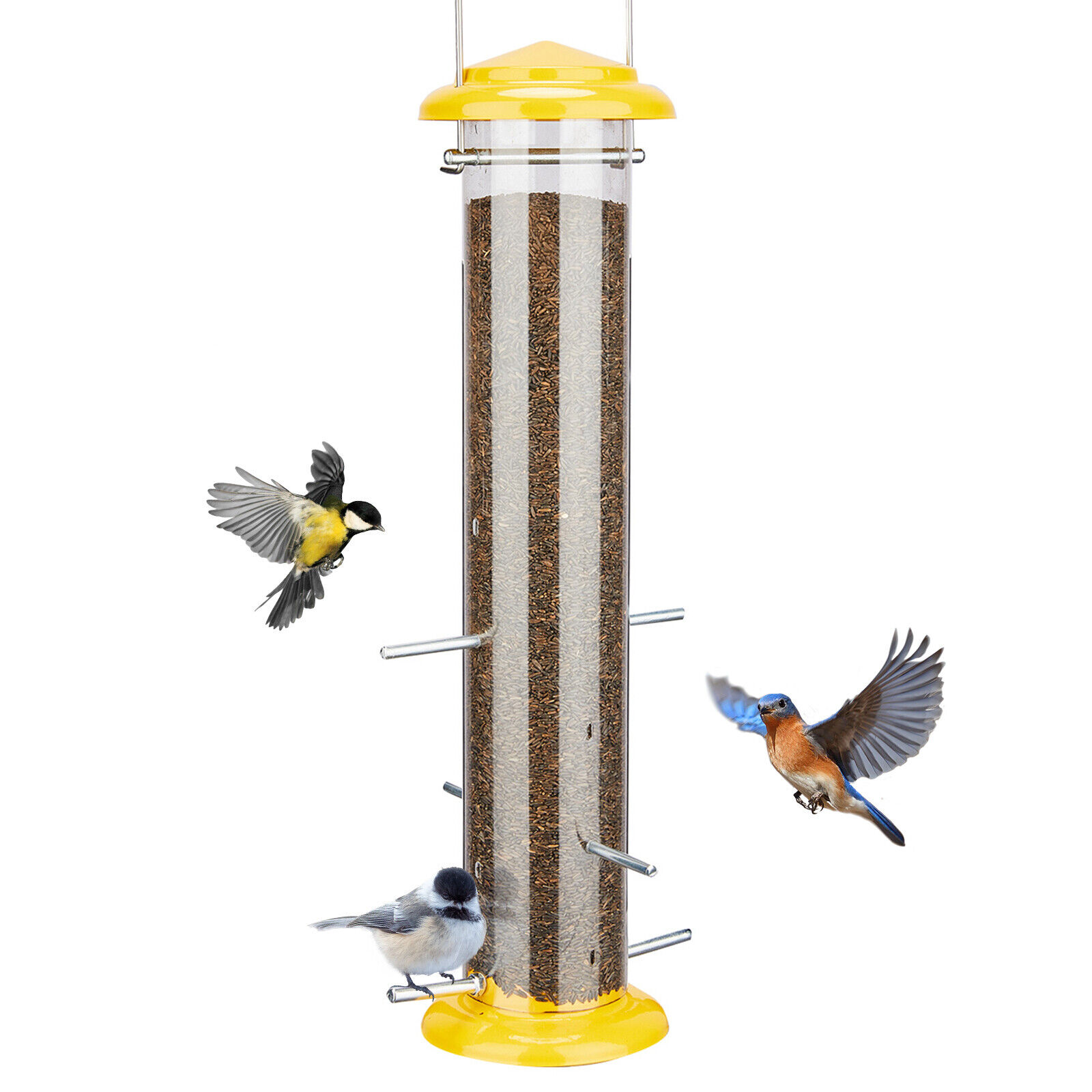 Squirrel-Proof Metal Finch Feeder for Wild Birds