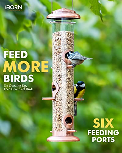 Metal Bird Feeder in Brushed Copper Finish