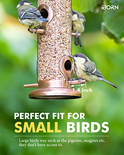 Metal Bird Feeder in Brushed Copper Finish