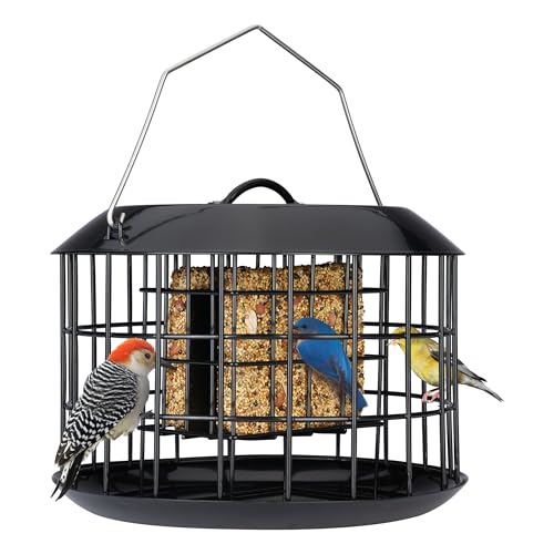 Squirrel Proof Suet Feeder for Outdoor Birds