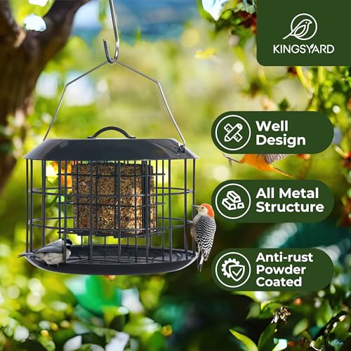 Squirrel Proof Suet Feeder for Outdoor Birds