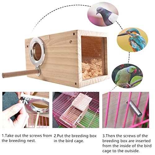Transparent Wooden Bird Nest Box for Parakeets