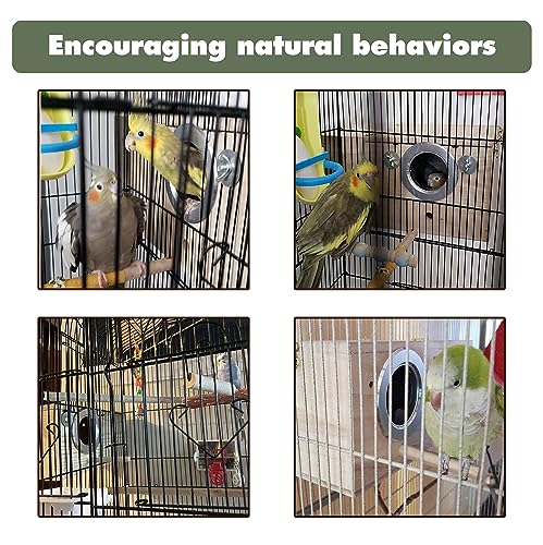 Extra Large Parakeet Nesting Box with Coconut Fiber