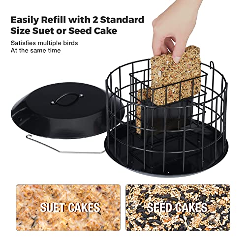 Squirrel Proof Suet Feeder for Outdoor Birds
