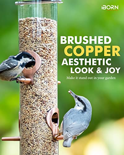 Metal Bird Feeder in Brushed Copper Finish