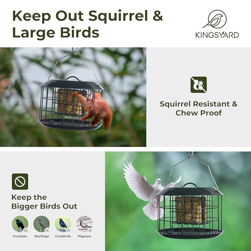 Squirrel Proof Suet Feeder for Outdoor Birds