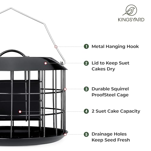 Squirrel Proof Suet Feeder for Outdoor Birds