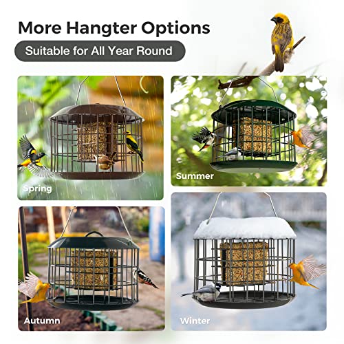 Squirrel Proof Suet Feeder for Outdoor Birds