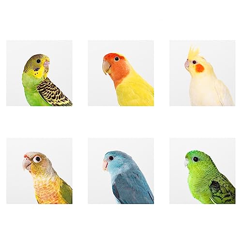 2 Pack Natural Wood Bird Nesting Boxes