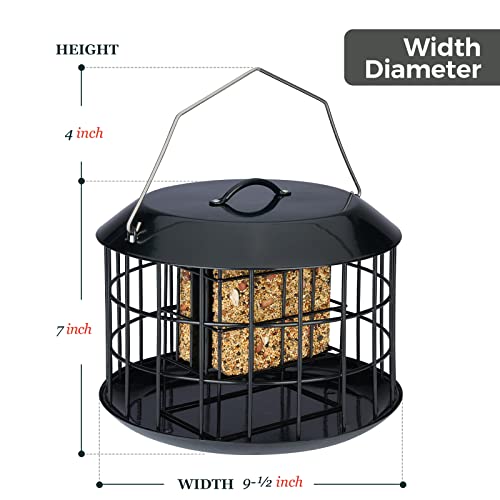 Squirrel Proof Suet Feeder for Outdoor Birds