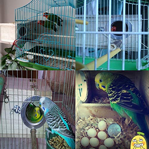 Wooden Nest Box for Parakeets and Lovebirds
