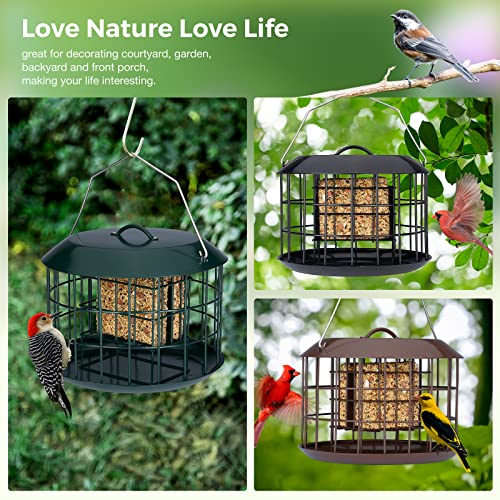 Squirrel Proof Suet Feeder for Outdoor Birds