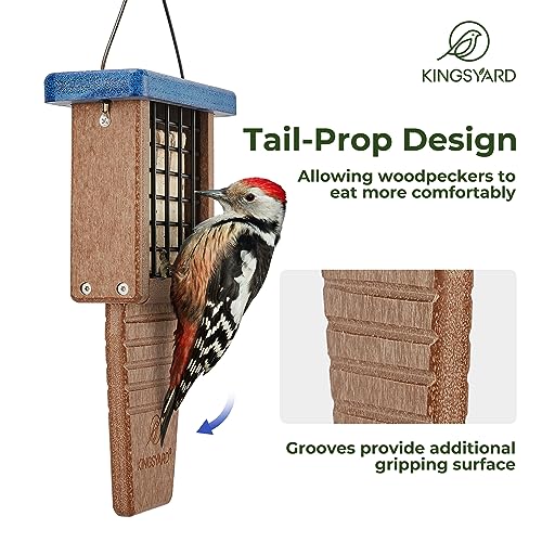 Blue Recycled Plastic Suet Bird Feeder