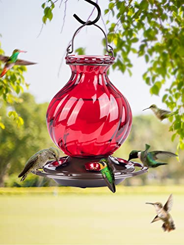 Red Glass Hummingbird Feeder with 5 Flower Ports