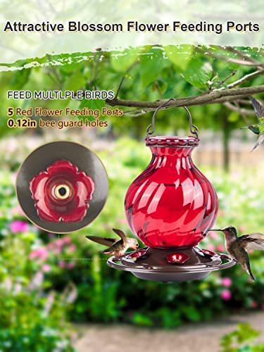 Red Glass Hummingbird Feeder with 5 Flower Ports