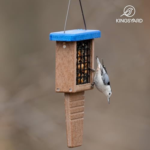 Blue Recycled Plastic Suet Bird Feeder