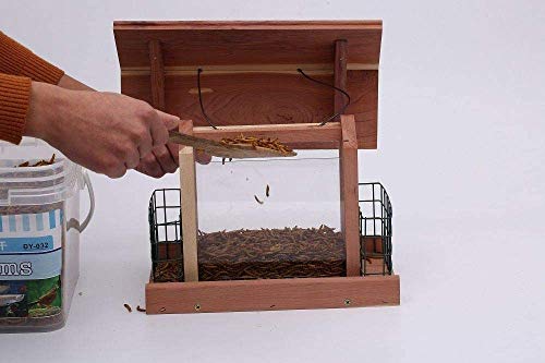 Cedar Bird Feeder with Suet Holder and Windows