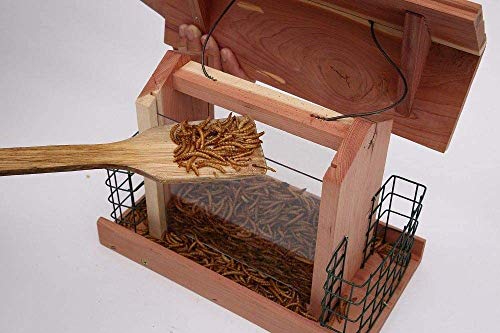 Cedar Bird Feeder with Suet Holder and Windows