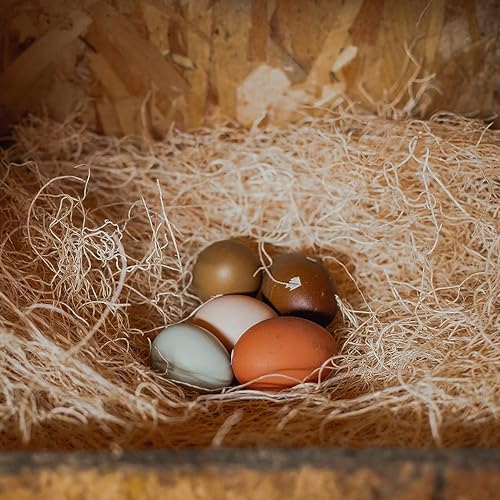 Premium Nesting Pads for Laying Hens - 10 Pack