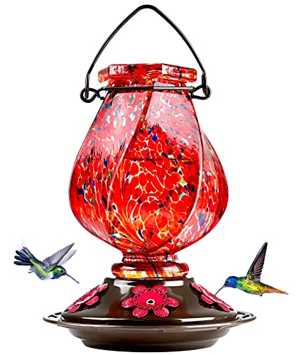 BOLITE Hand Blown Glass Hummingbird Feeder, 22oz