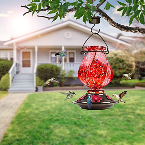 BOLITE Hand Blown Glass Hummingbird Feeder, 22oz