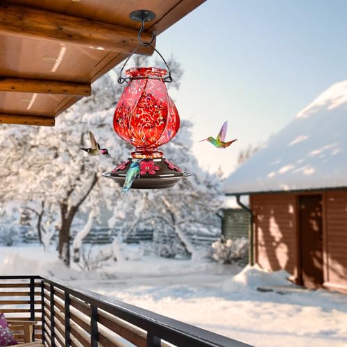BOLITE Hand Blown Glass Hummingbird Feeder, 22oz